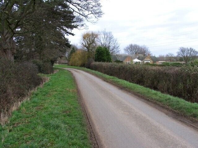 Road past Holly Lodge