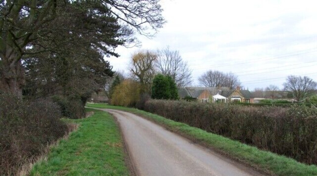 Road past Holly Lodge
