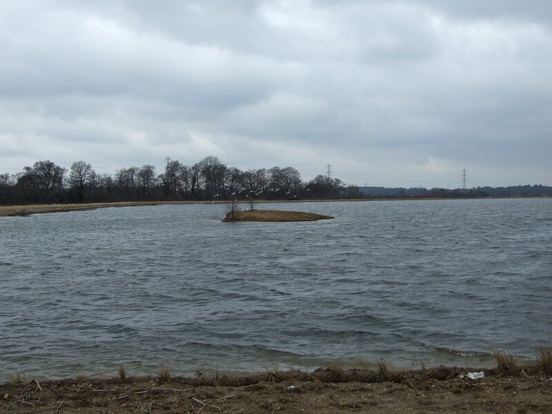 Longham Lake This island on the southerly of the two reservoirs, will provide a quieter place for birds away from the joggers and dog walkers.