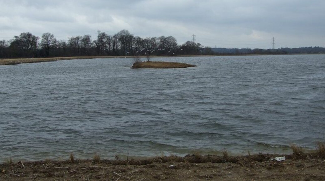 Longham Lake This island on the southerly of the two reservoirs, will provide a quieter place for birds away from the joggers and dog walkers.