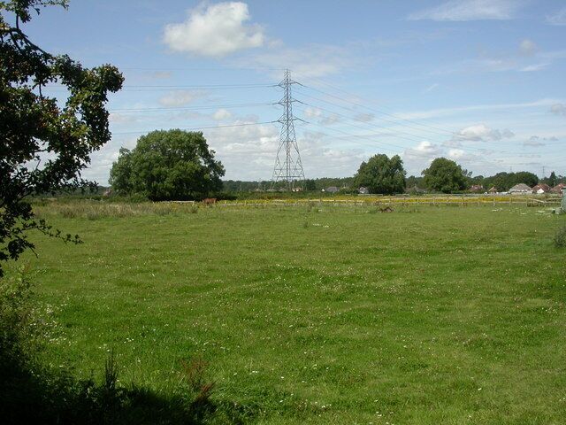 Longham, paddocks. Horse paddocks on 1422112; housing on Hampreston Road in the distance.