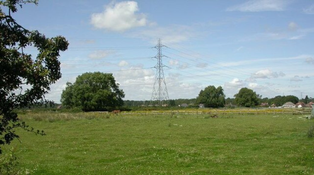 Longham, paddocks. Horse paddocks on 1422112; housing on Hampreston Road in the distance.