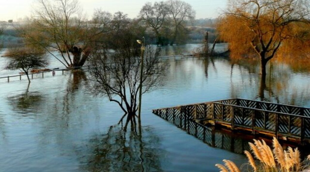 Dawn over the flooded Stour 3. View from the Bridge House Hotel at 7:45am. Heavy rain and snow-melt have combined to create this scene. The partly-submerged footbridge leads to an island in the river; see 1052591.