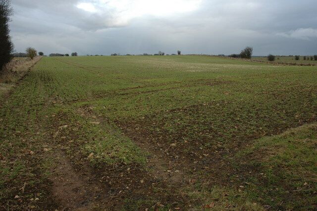 Arable land near Hawling Winter cereals in a field near hawling to the north of the A436.