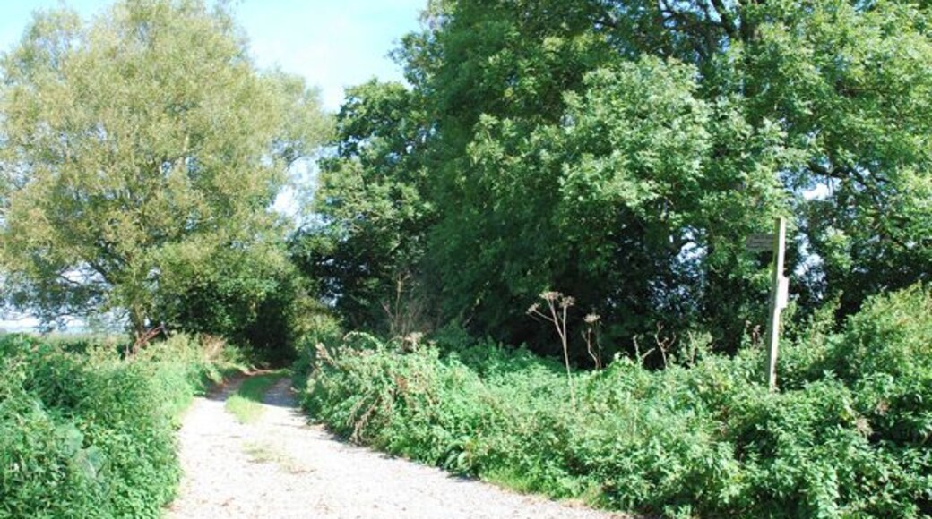 Broadmead Lane (Track)