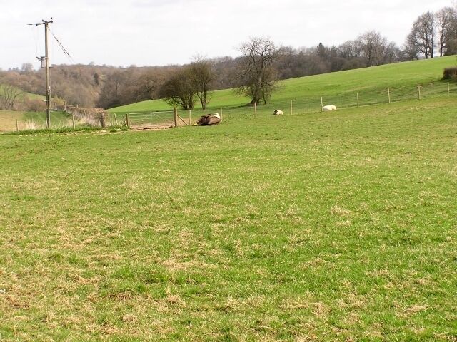Farmland nr Hewelsfield This shot is towards the wooded valley that runs across the NE of this square.
