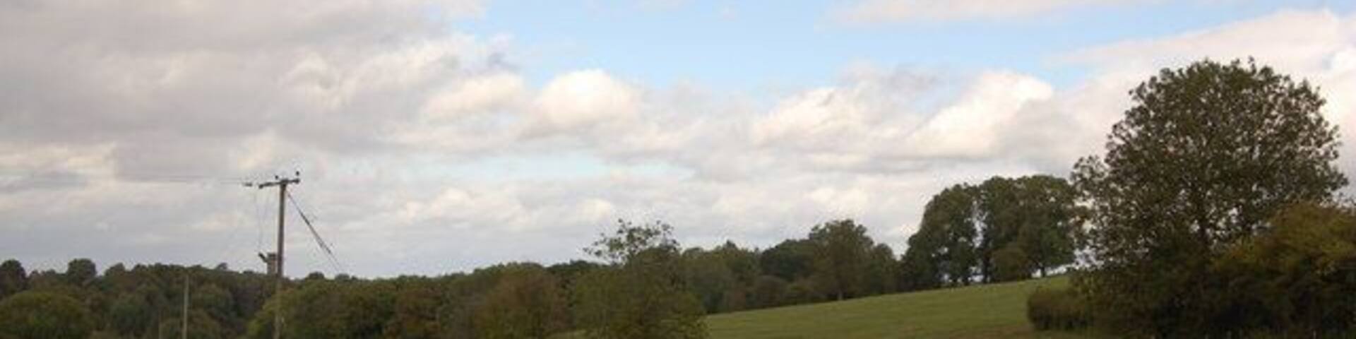 A grassy field with a power line, trees, and a cloudy sky.
