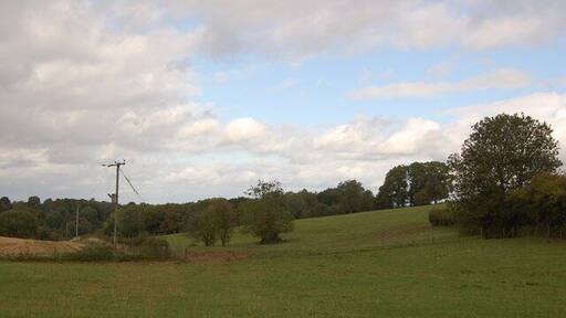 Grazing land near Hewelsfield, Gloucestershire