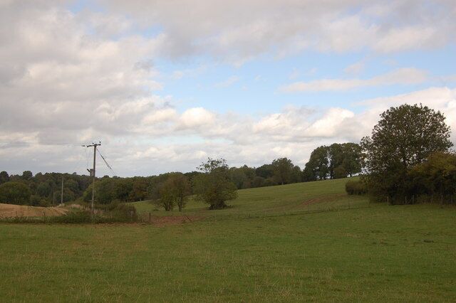 A grassy field with a power line, trees, and a cloudy sky.
