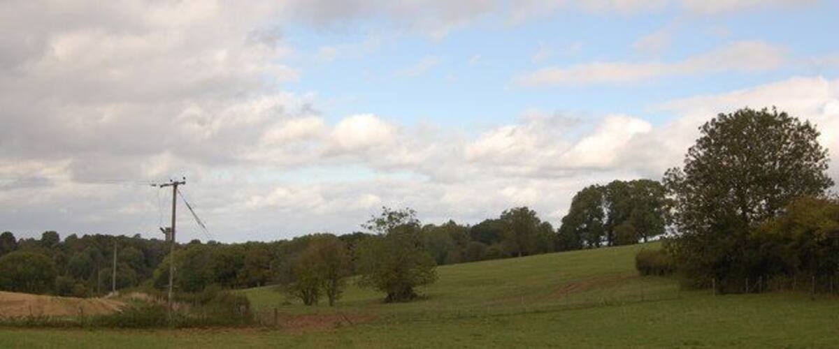 A grassy field with a power line, trees, and a cloudy sky.