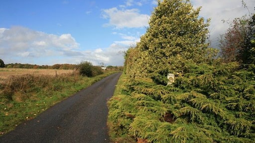 Minor road north of Lidstone, Oxfordshire, approaching the A44 road