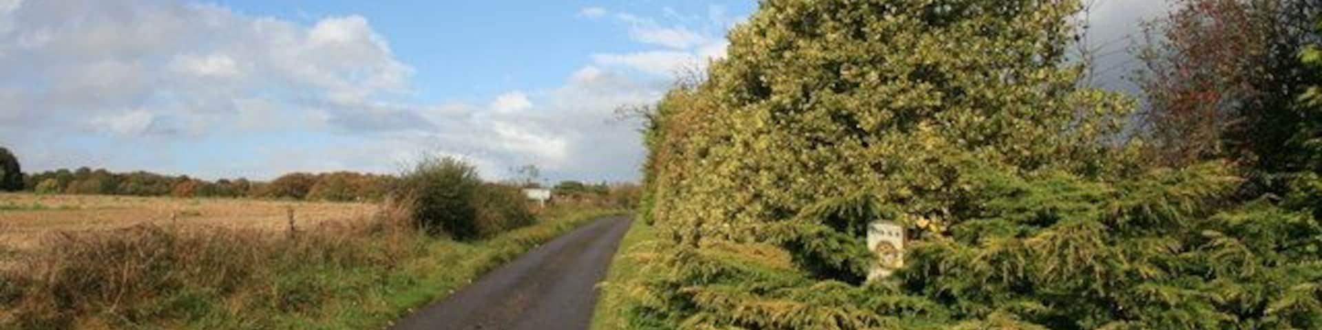 Minor road north of Lidstone, Oxfordshire, approaching the A44 road
