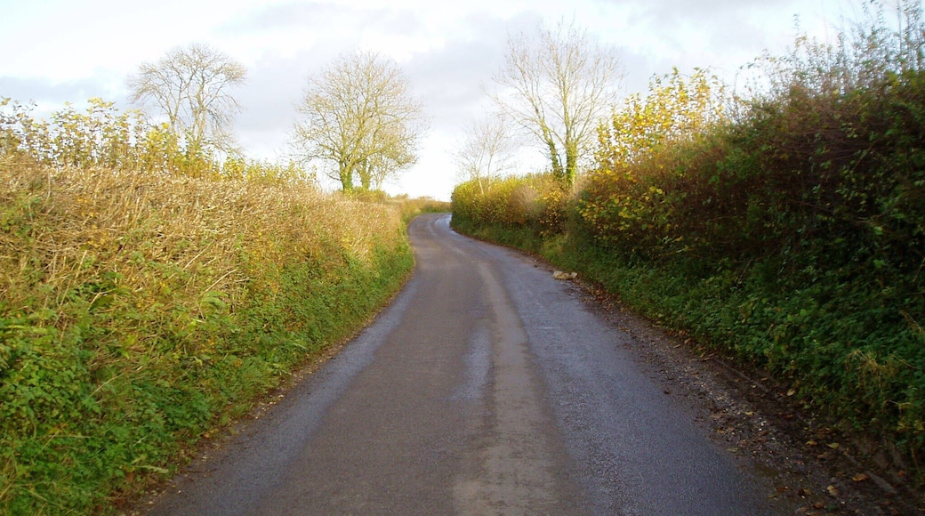 Road to Chard Road classified as generally more than 4 metres wide.