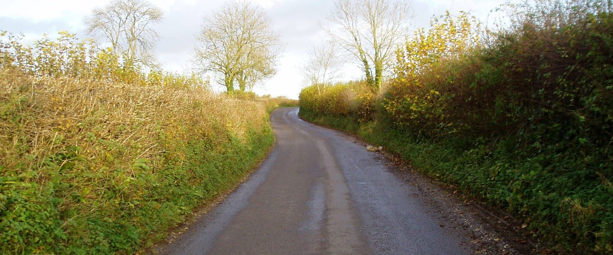 A narrow rural road flanked by dense vegetation and leafless trees.