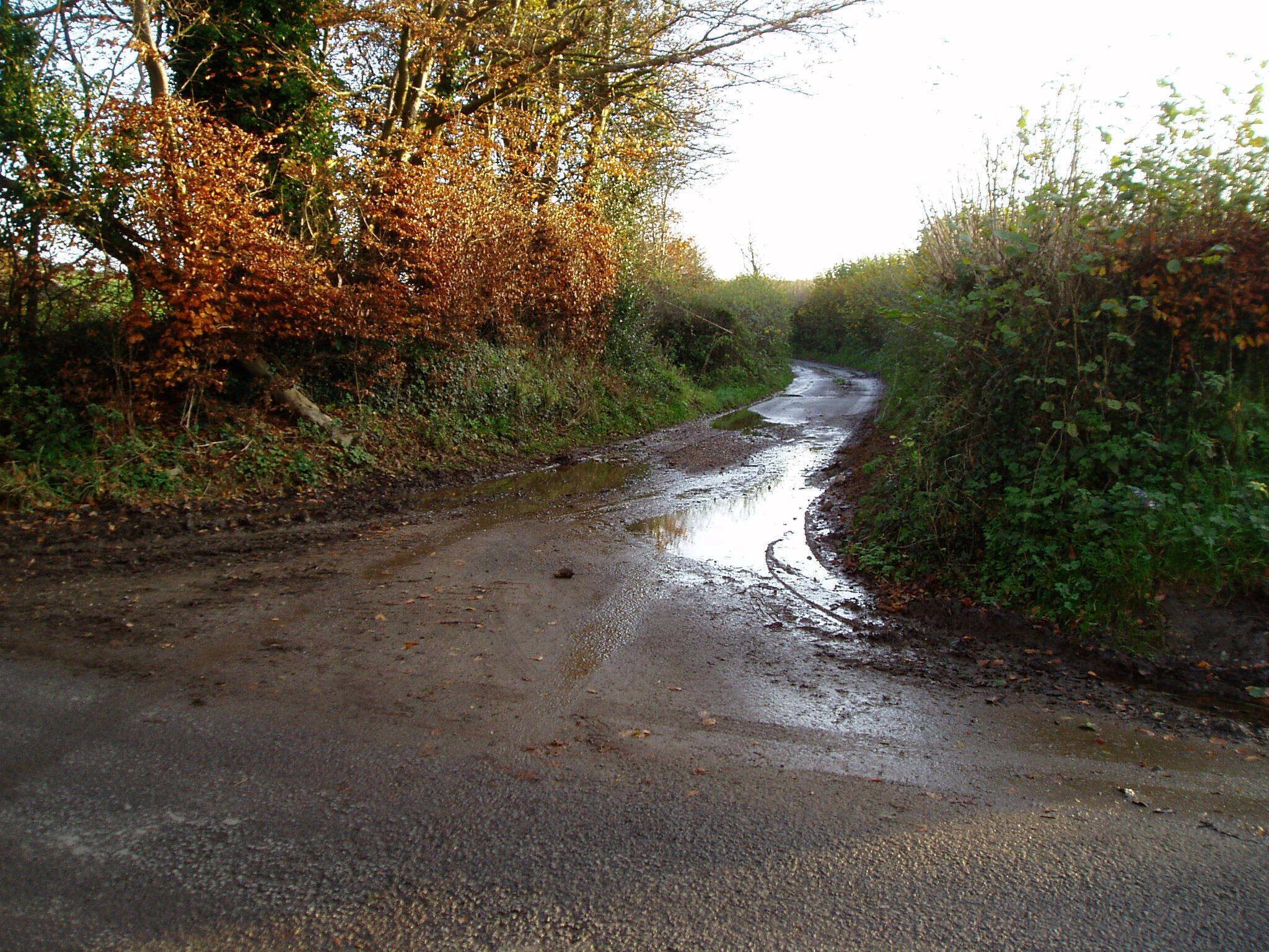 Palfrey's Lane Route to Red Post.
