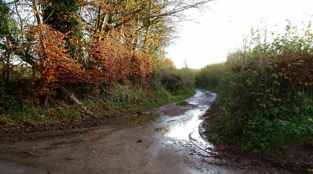 Palfrey's Lane Route to Red Post.