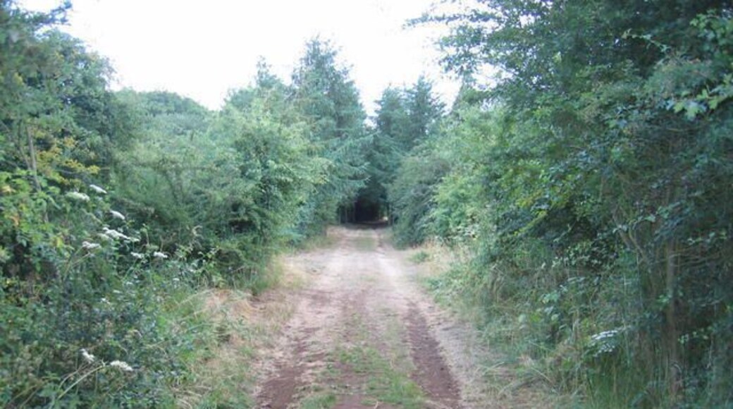 Course of Oxfordshire Ironstone Quarry Railway. Part of the alignment of the former quarry railway network radiating from the Oxfordshire Ironstone Quarries Headquarters site at Wroxton.