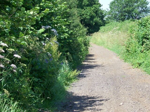Byway near Alderton The byway passes an area of woodland known as Cream Gorse on its way to Commonwood Farm.