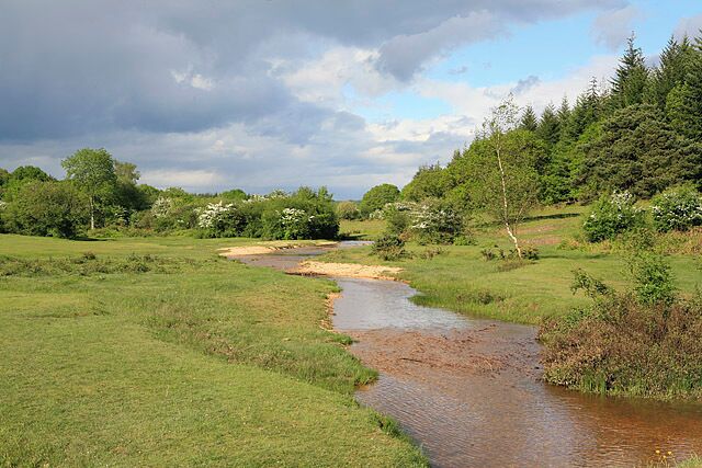 Linford Bottom seen from the bridge over Linford Brook. A popular tourist spot, the brook is shallow and suitable for paddling.