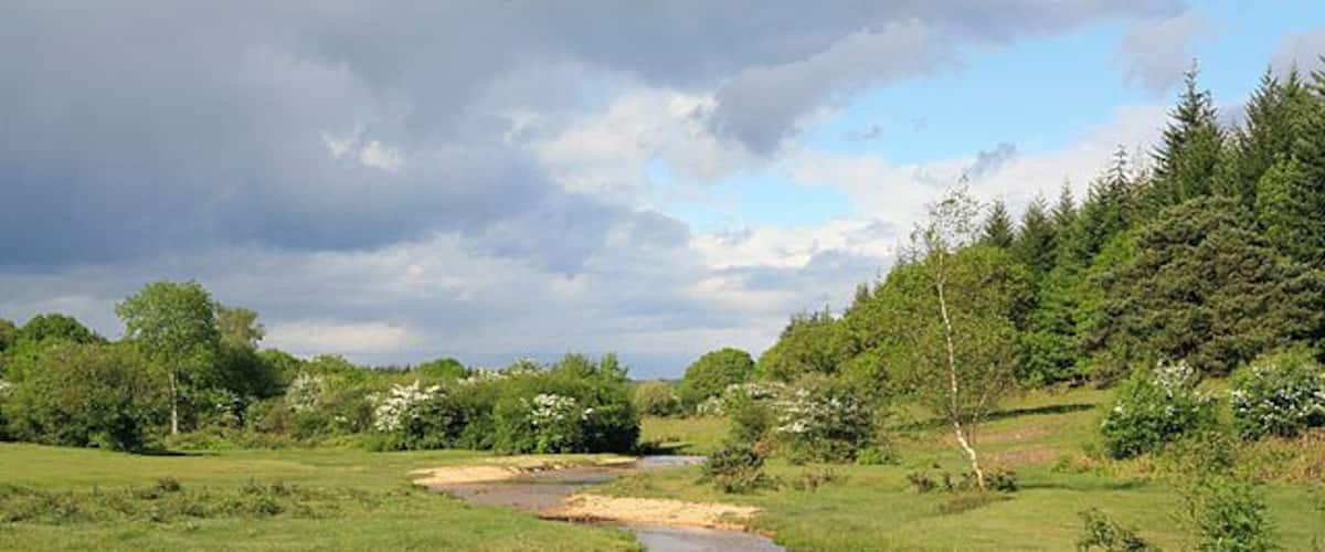 Linford Bottom seen from the bridge over Linford Brook. A popular tourist spot, the brook is shallow and suitable for paddling.