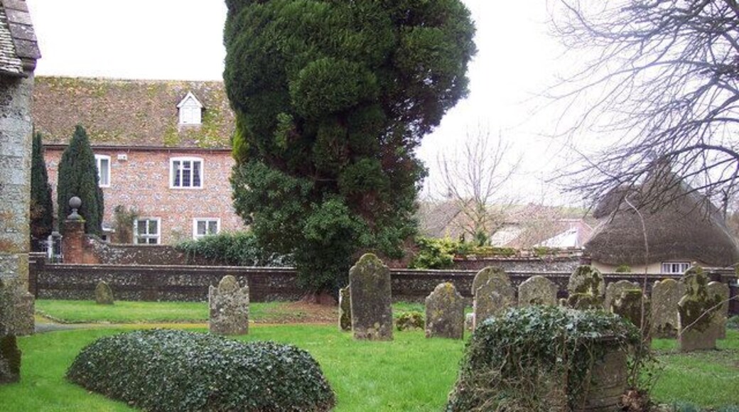 All Saints Church, Idmiston - Churchyard