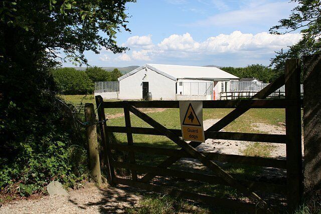 Kennels. Guard dogs on the outside and more dogs on the inside!