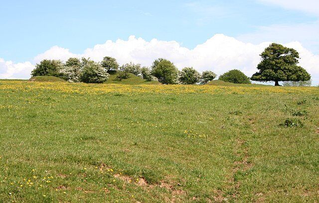 Mounds at Kilworthy. This hilltop is one of the highest points around so one might suspect that these mounds would be the remains of a prehistoric hill fort. In fact, I don't know what they are, but it is unlikely to be a hill fort as it is not marked on the map. The steepness of the slopes on the mounds suggest their origin is more recent.