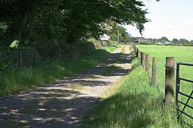 A Farm Track. This track leads to a farmhouse, alongside it a field of grain.