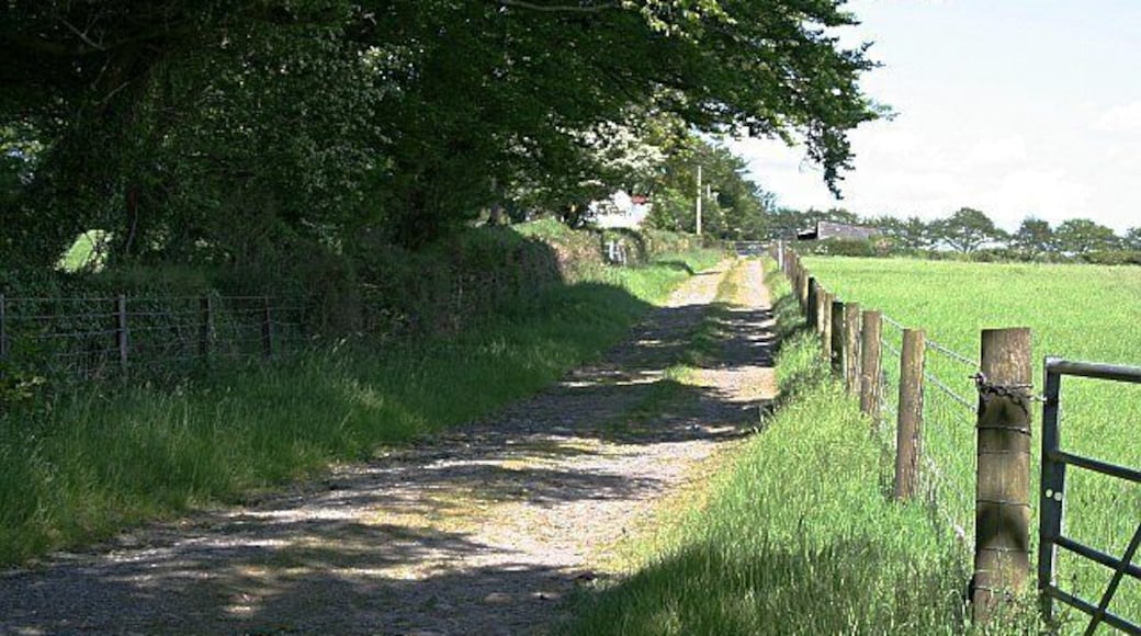 A Farm Track. This track leads to a farmhouse, alongside it a field of grain.