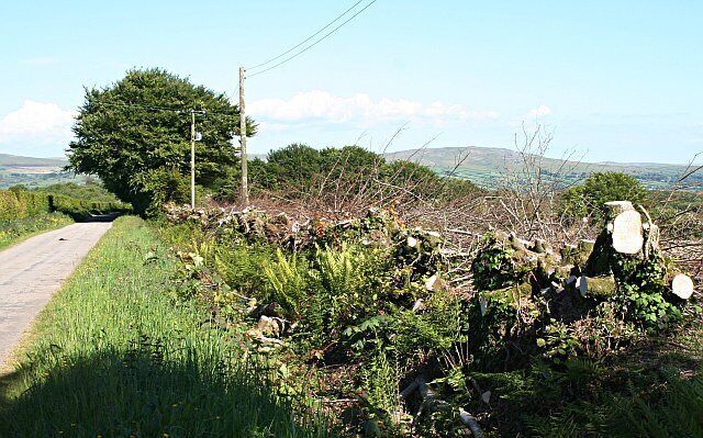A rural road with stone walls and vegetation.