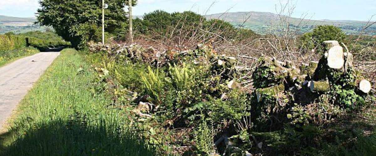 A rural road with stone walls and vegetation.