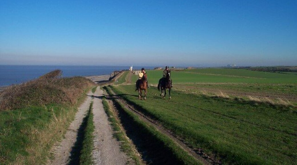 Horses on the Gallop. Along the top of the cliffs between Kilve and Lilstock is a wide grass track known as the Gallop which was previously used to exercise racehorses. It is still popular with local riders. Hinkley Point nuclear power station can be seen in the distance on the right of the picture.