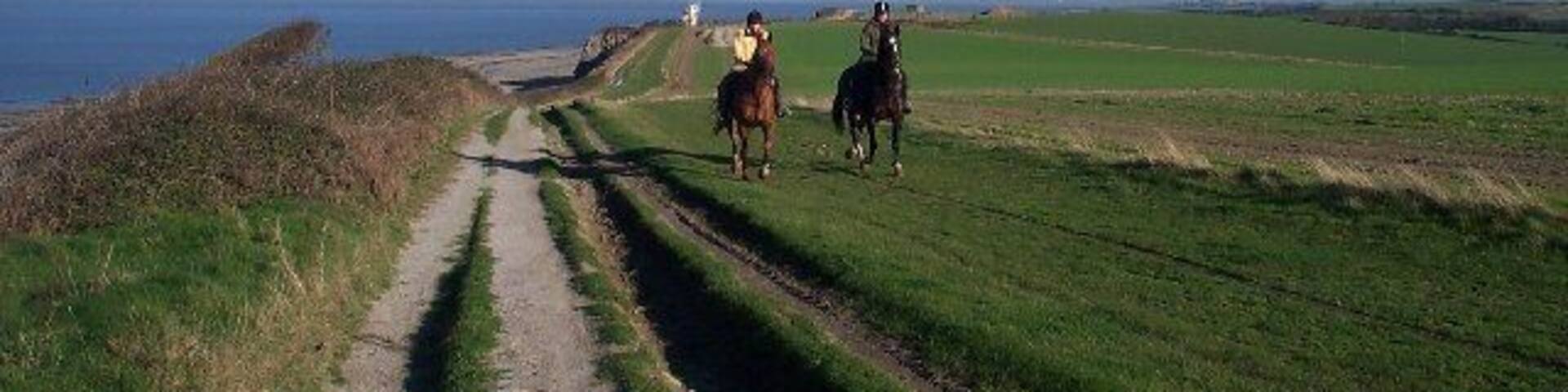 Horses on the Gallop. Along the top of the cliffs between Kilve and Lilstock is a wide grass track known as the Gallop which was previously used to exercise racehorses. It is still popular with local riders. Hinkley Point nuclear power station can be seen in the distance on the right of the picture.