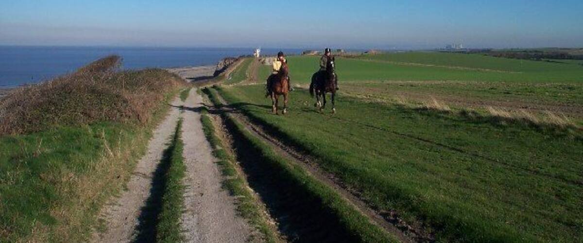 A coastal path with horses and riders, a clear sky, and the ocean in the distance.