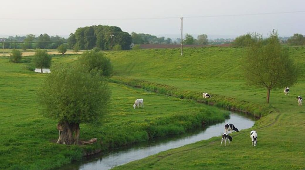 The River Sow and pasture, Great Bridgeford The view from the A5013 as the river quietly makes its way to Stafford.