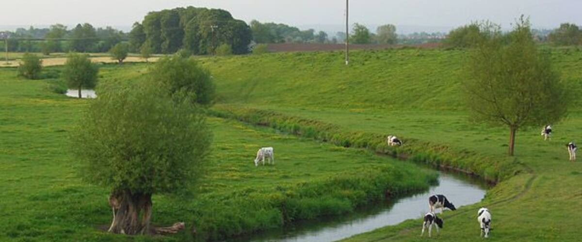 The River Sow and pasture, Great Bridgeford The view from the A5013 as the river quietly makes its way to Stafford.