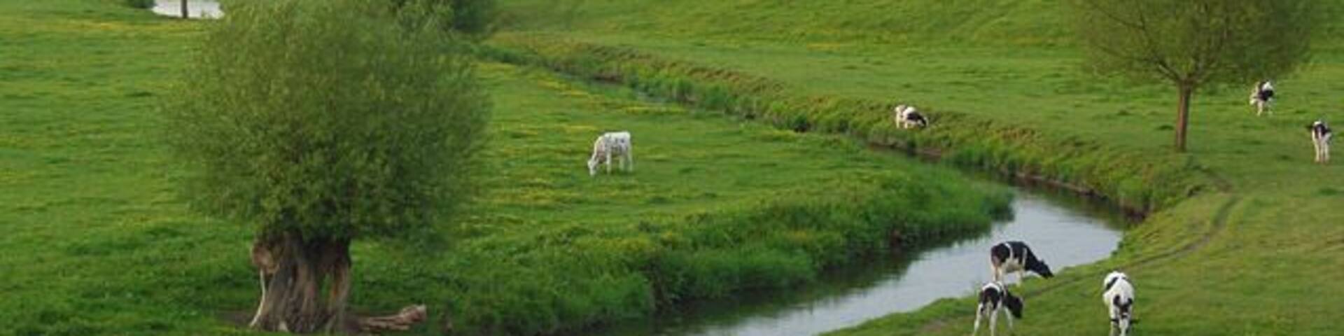 The River Sow and pasture, Great Bridgeford The view from the A5013 as the river quietly makes its way to Stafford.