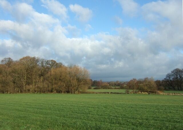 Farmland at Seighford The wood to the left is known as the Long Covert, the small wooded mound to its right is not a tumulus but a small relic of RAF Seighford which occupied this site during WW2.