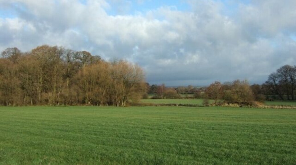 Farmland at Seighford The wood to the left is known as the Long Covert, the small wooded mound to its right is not a tumulus but a small relic of RAF Seighford which occupied this site during WW2.