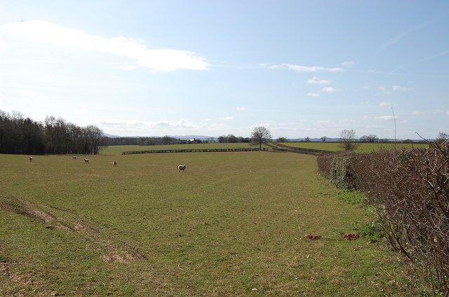 Field off Baregains Lane