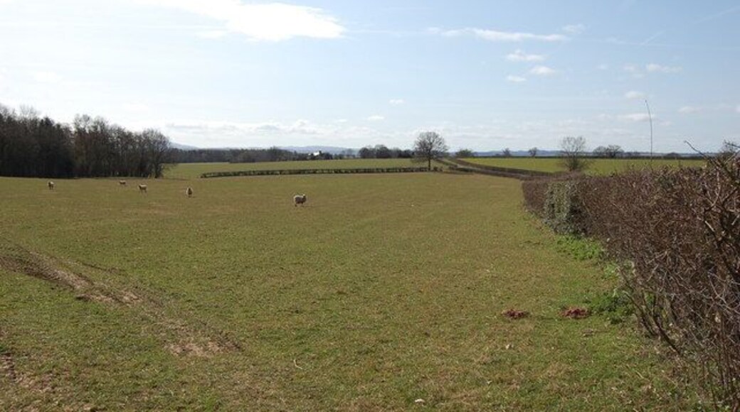 Field off Baregains Lane