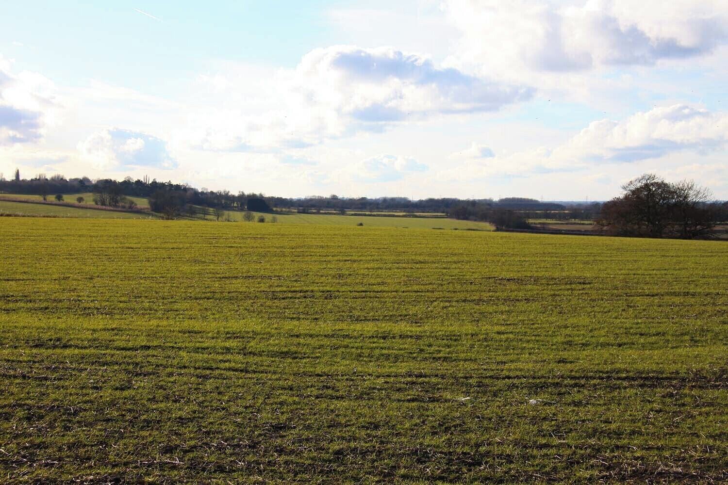 Arable field near Kingston Hill Farm