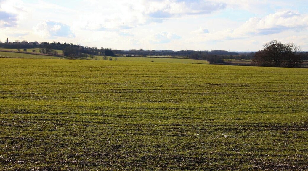 Arable field near Kingston Hill Farm