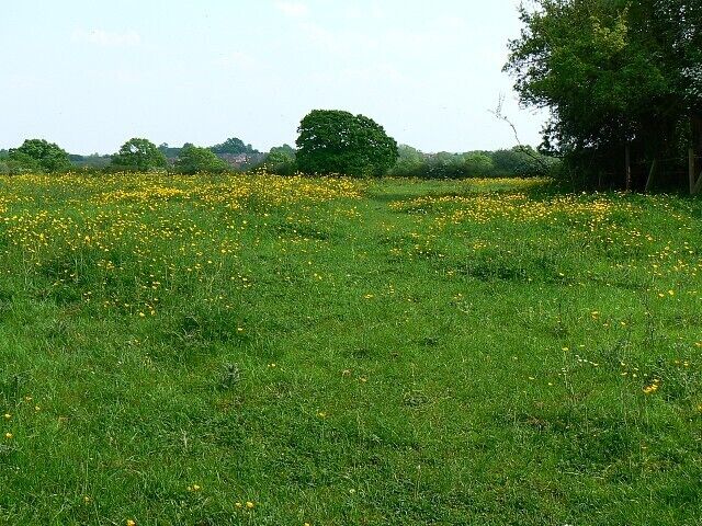 Footpath from Lydiard Millicent to Lydiard Tregoze There are three Lydiards: Green, Millicent and Tregoze. Lydiard Millicent is the largest. The footpath can be made out leading away from the viewpoint in between the buttercups.