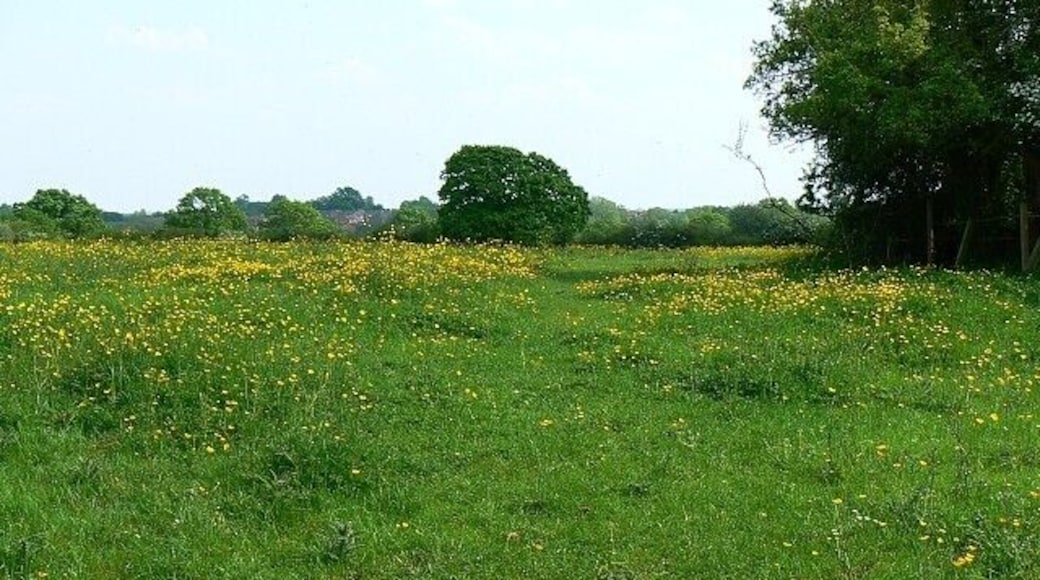 Footpath from Lydiard Millicent to Lydiard Tregoze There are three Lydiards: Green, Millicent and Tregoze. Lydiard Millicent is the largest. The footpath can be made out leading away from the viewpoint in between the buttercups.
