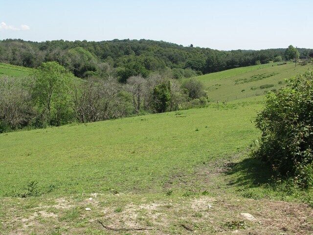View from Huntick Road Typical rolling downland in Dorset.