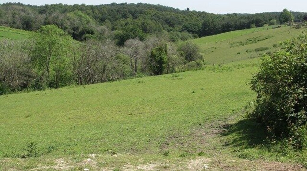 View from Huntick Road Typical rolling downland in Dorset.
