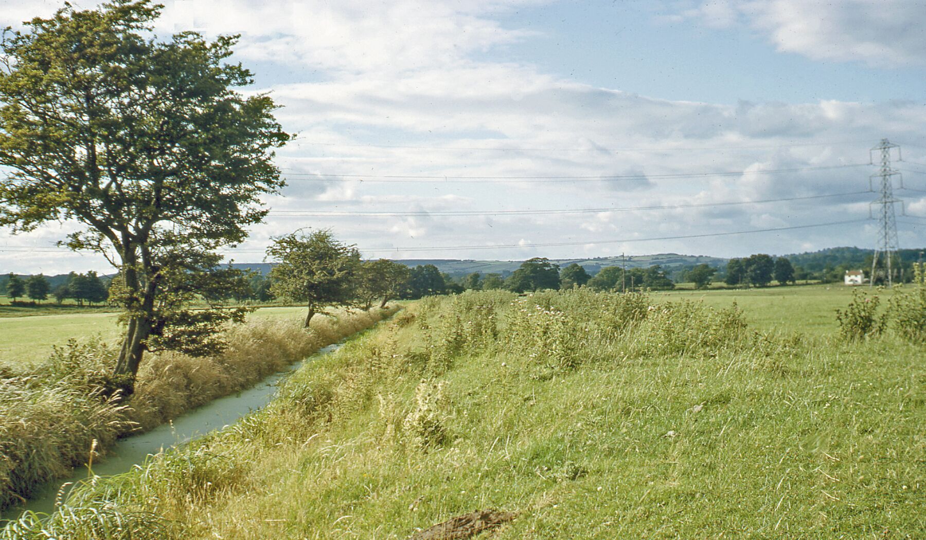 A rural landscape with a narrow water channel, a large tree, and distant power lines.