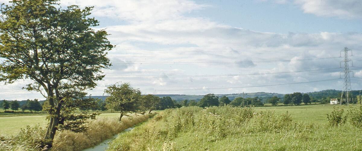 A rural landscape with a narrow water channel, a large tree, and distant power lines.