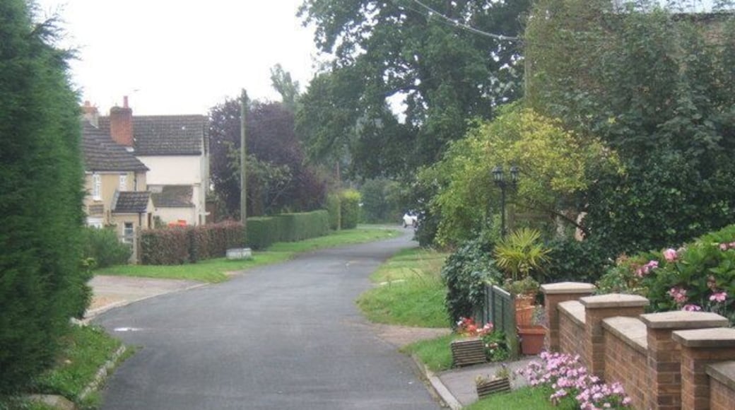 Village street, Brington The dead end lane gets narrower towards the church. This is looking back down through the village.